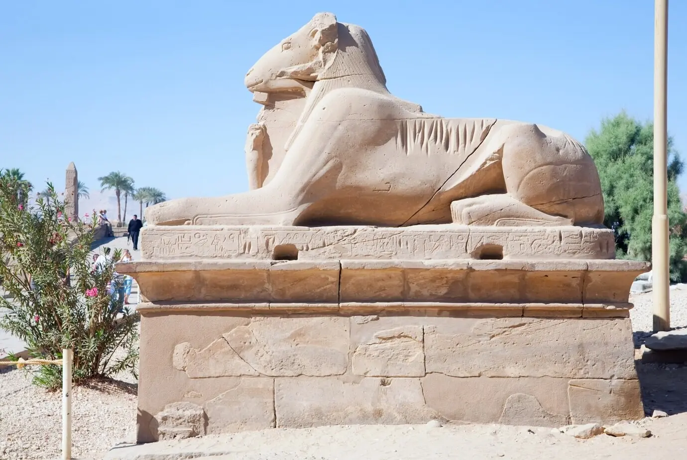 Widderköpfige Sphinxen am Karnak-Tempel
